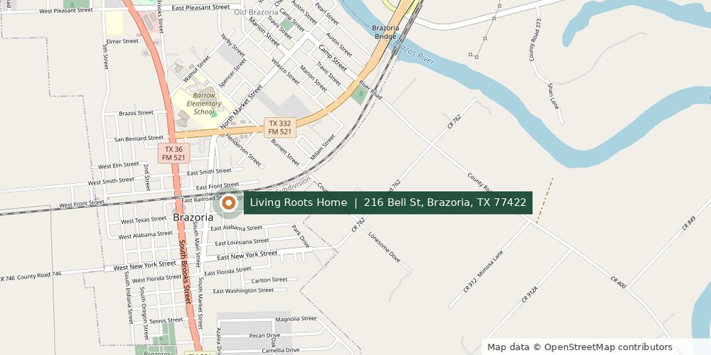 Map showing the Living Roots Home office location on Bell Street in Brazoria, Texas